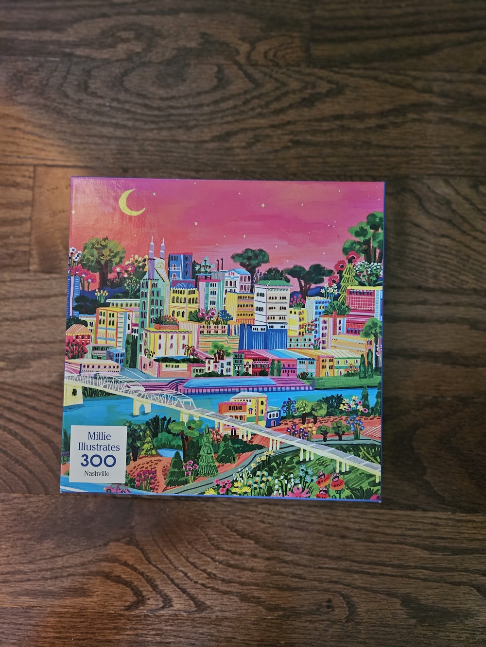 Millie Illustrates Nashville 300-Piece Puzzle - Vibrant Pink Cityscape